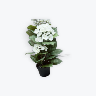 White Hydrangea In Black Pot 60cm Artificial