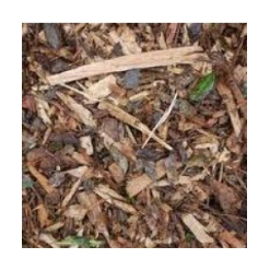 Euchi Leaf Mulch