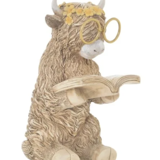 Highland Cow Reading