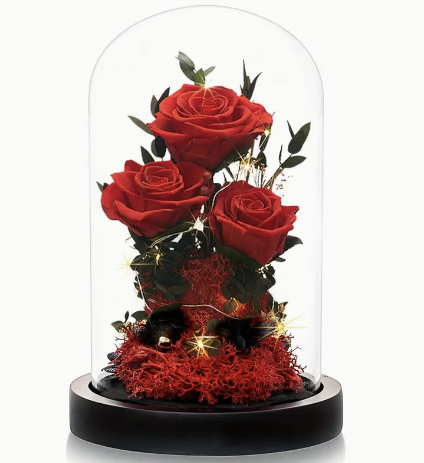 Real Red Roses with Star Accents Glass Dome