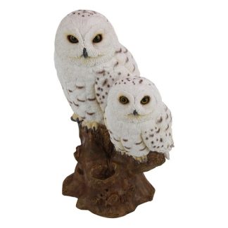 White Owl with Baby on Tree