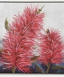 Bottlebrush Canvas