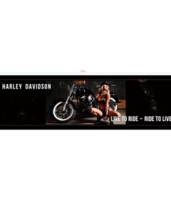 Harley Davidson 1 Bar Runner