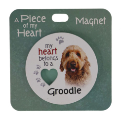 Groodle magnet