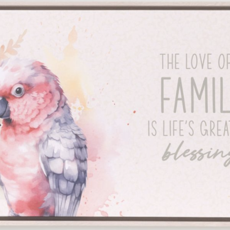 Native Blooms Galah Framed Canvas