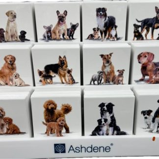 Puppy Love Cavoodle Coaster