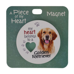 Golden retriever magnet