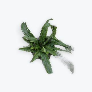 Fern Artifical Bunch 60cm