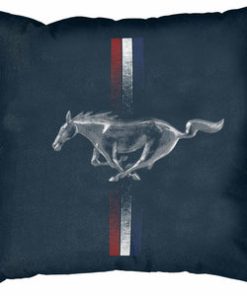 Ford Mustang Cushion