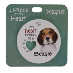 Beagle magnet