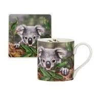 Babies of the Bush Koala