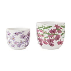Royal Botanic Gardens Australian Orchids Planter Set of 2 Pnk/Lilac Gift Boxed