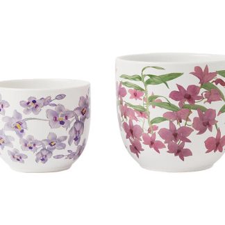 Royal Botanic Gardens Australian Orchids Planter Set of 2 Pnk/Lilac Gift Boxed