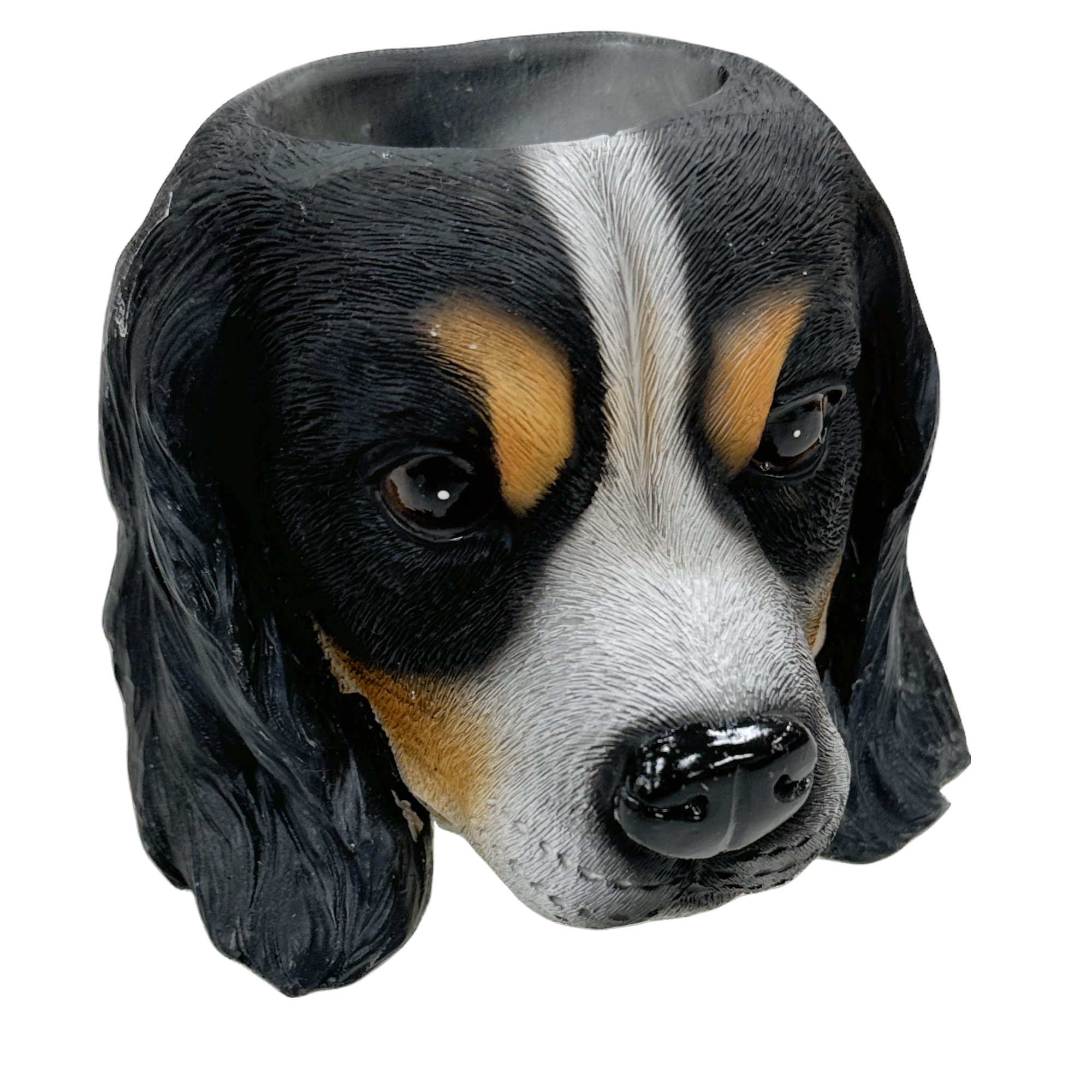 King Charles Planter