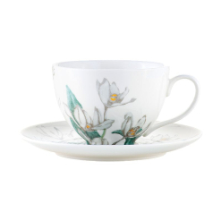 Royal Botanic Gardens Australian Orchids Cup & Saucer Gift Boxed