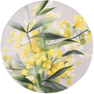 Native Blooms Yellow Wattle Ceramic Coaster