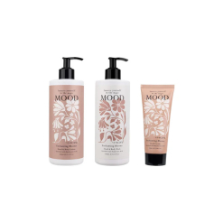 2025 Xmas Enchanting Blooms Duo