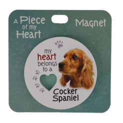 Cocker spaniel magnet