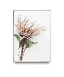 Canvas Print Native Banksia