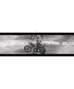 Harley 2 Bar Runner