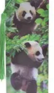 3D Panda Bookmark