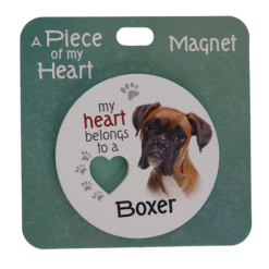 Boxer magnet
