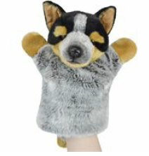 Blue Heeler 26Cm