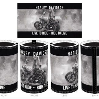 Harley 2 Can Cooler