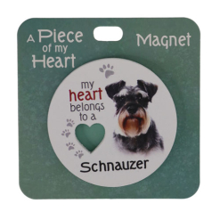 Schnauzer magnet