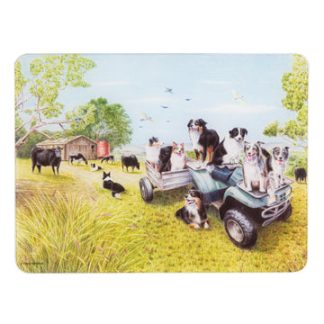 Working Dogs Quad Bike Surface Protector