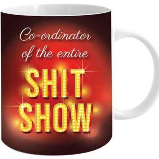 CO-ORDINATOR NOVELTY MUG
