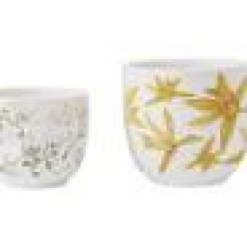 Royal Botanic Gardens Australian Orchids Planter Set of 2 Yellow/White Gift Boxed (1)