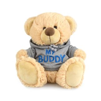 My Buddy Bear