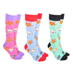 Sock Society Cute Cats (3)
