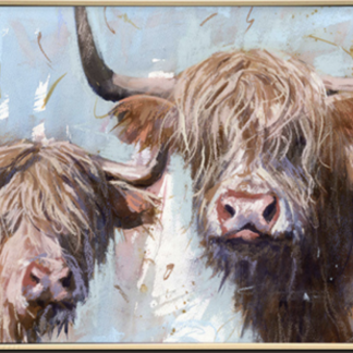 Two Highlander Bulls - Brushed