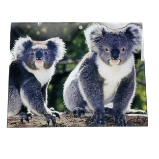 Plaque Australian Koala Glass