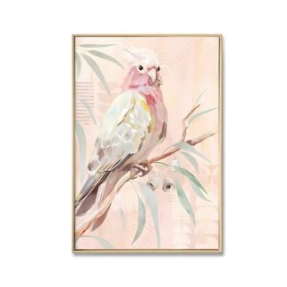 Galah Facing Right - Brushed