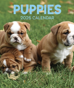 2026 Calendar Puppies