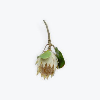 Protea Light Pink 53cm Artificial Flower