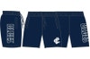 Mens Performance Shorts Blues