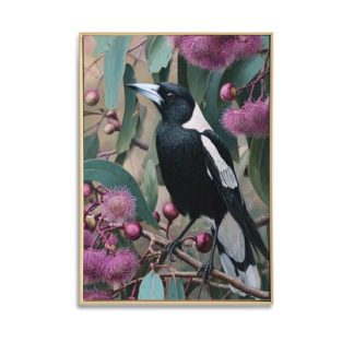 Magpie with Purple Gum Nuts