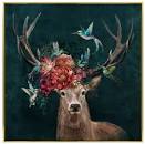 Deer Canvas