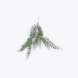 Athyrium Fern 82cm Artificial Greenery