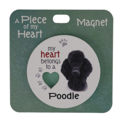 Poodle black magnet