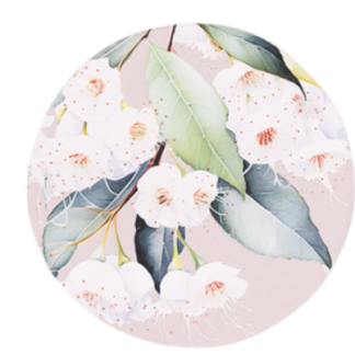Native Blooms Gumnuts Ceramic Coaster