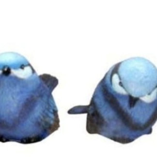 Blue Bird - Small Set 4