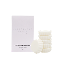 Wax Melts 30g x 6 - Patchouli & Bergamont