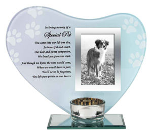 Paw Print On My Heart