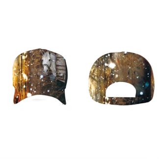 Horse and Boot/Hat Cap