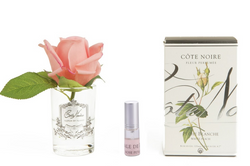 Cote Noire Perfumed Natural Touch Rose Bud - Clear - White Peach